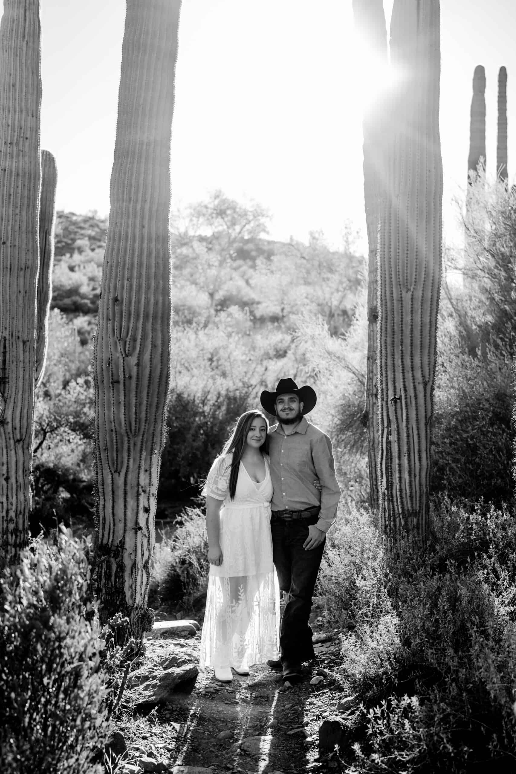 Engaged couple holding hands between towering saguaro cacti at sunset